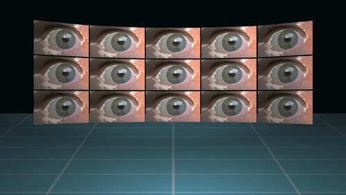 wall of eyes