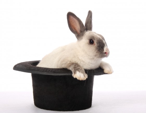 rabbit magic hat