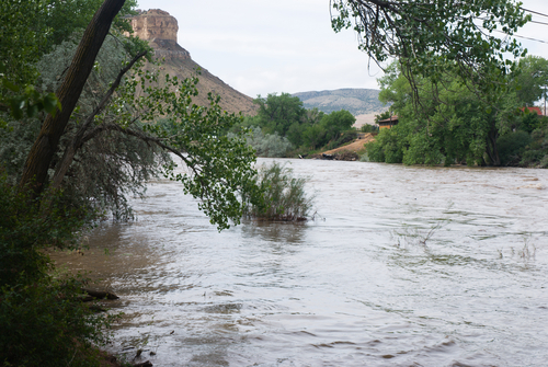 Colorado River at Flood Level