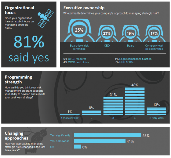 organizatio risk infographic