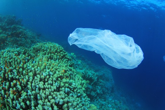 Plastic Bag Floating in Ocean