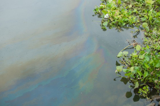 Sentencing Begins In 2014 W Va Chemical Spill Disaster Risk sentencing-begins-in-2014-w-va-chemical-spill-disaster-risk