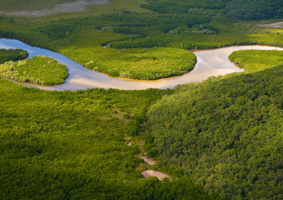 Wetlands